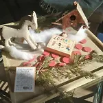 La Maison O Kiwis - D'hotes Frühstückspension