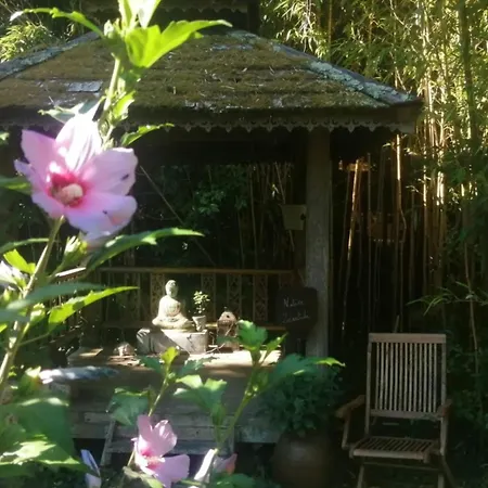 Bed & Breakfast La Maison O Kiwis - D'hotes Saint-Denis-les-Martel