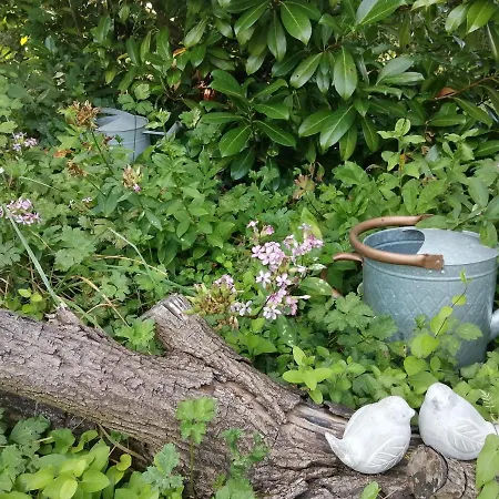 Bed and breakfast La Maison O Kiwis - D'hotes 3*