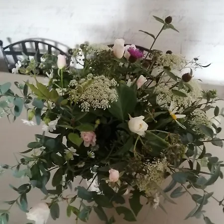 La Maison O Kiwis - D'hotes Bed and breakfast